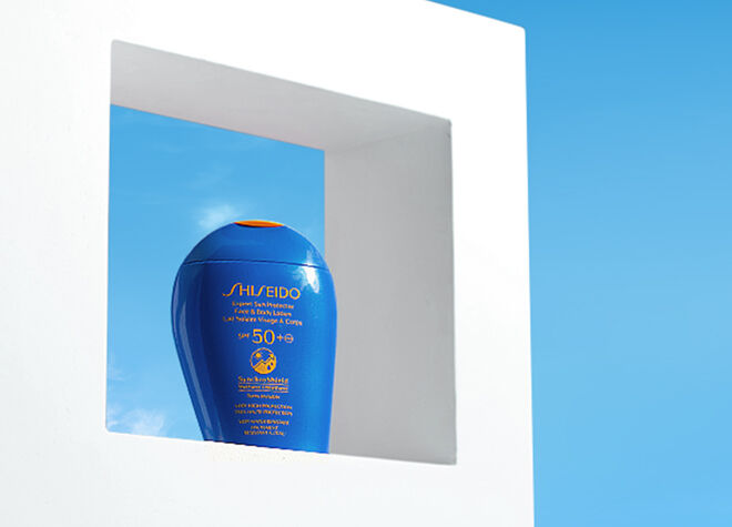 expert sun protector expert sun protector