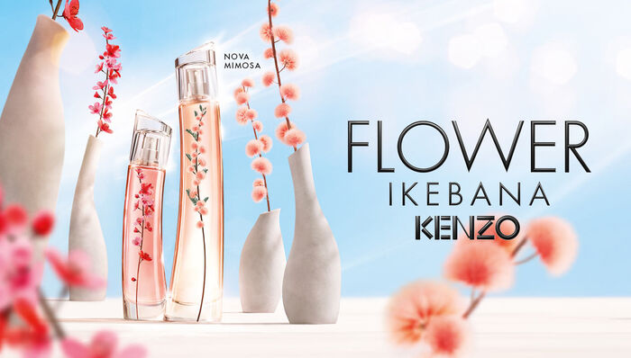 flower ikebana mimosa by kenzo