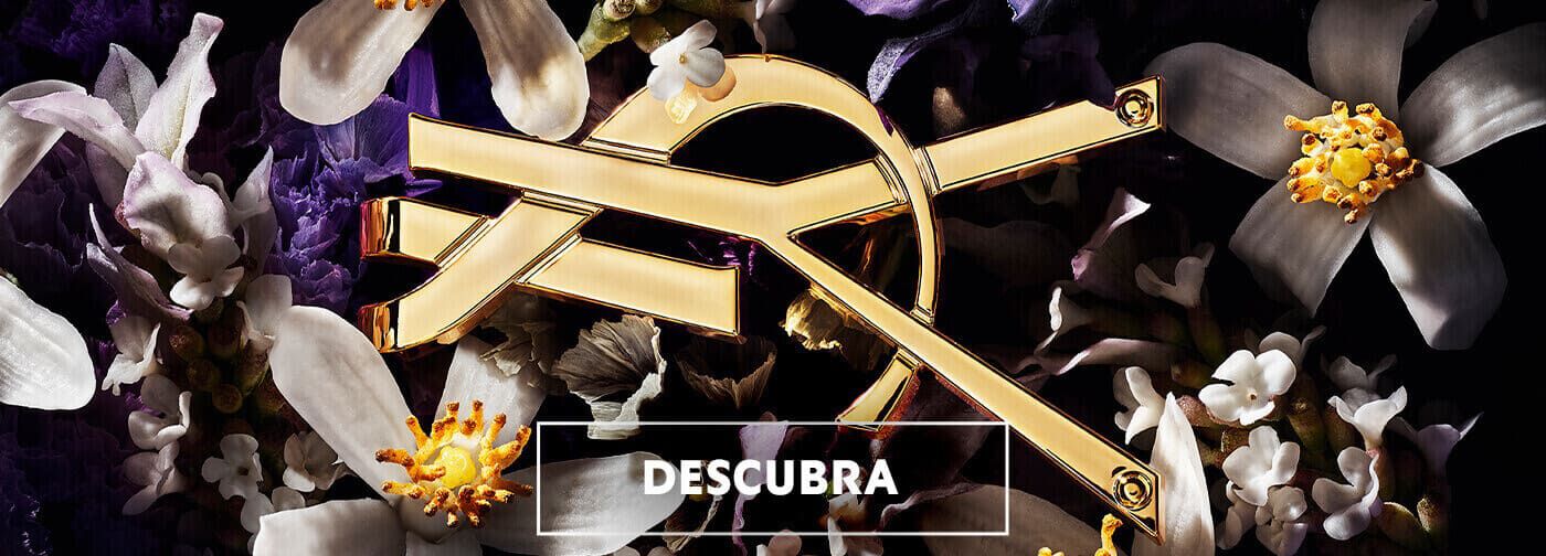 descubra