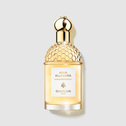 perfumes femininos