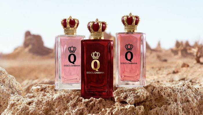 q de dolce&gabbana