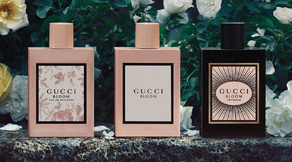 Gucci Bloom