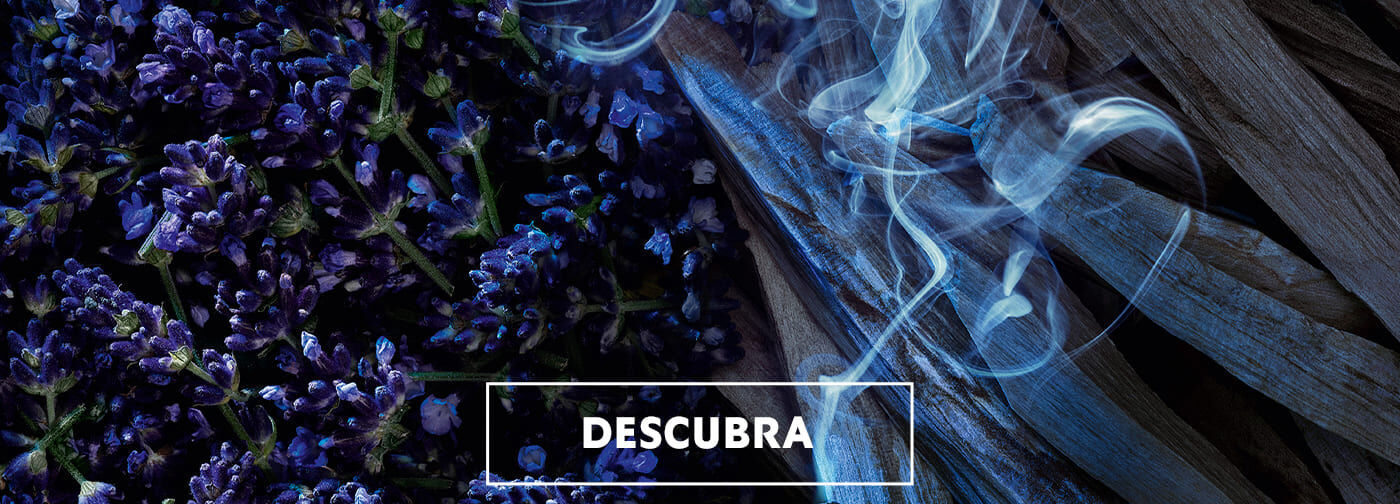 descubra