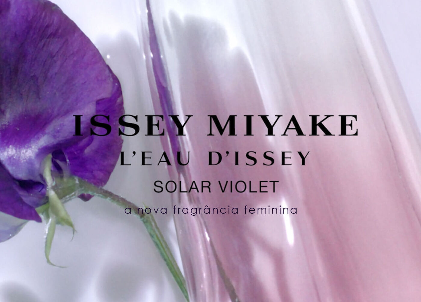 solar violet solar violet