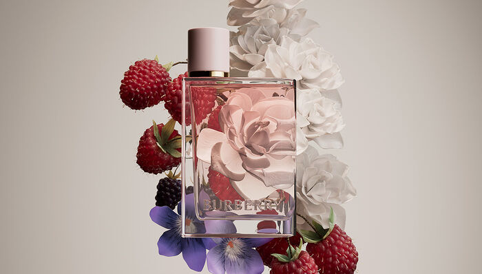burberry her