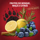 Desodorizante Spray Bearglove - OLD SPICE -  - Imagem 3