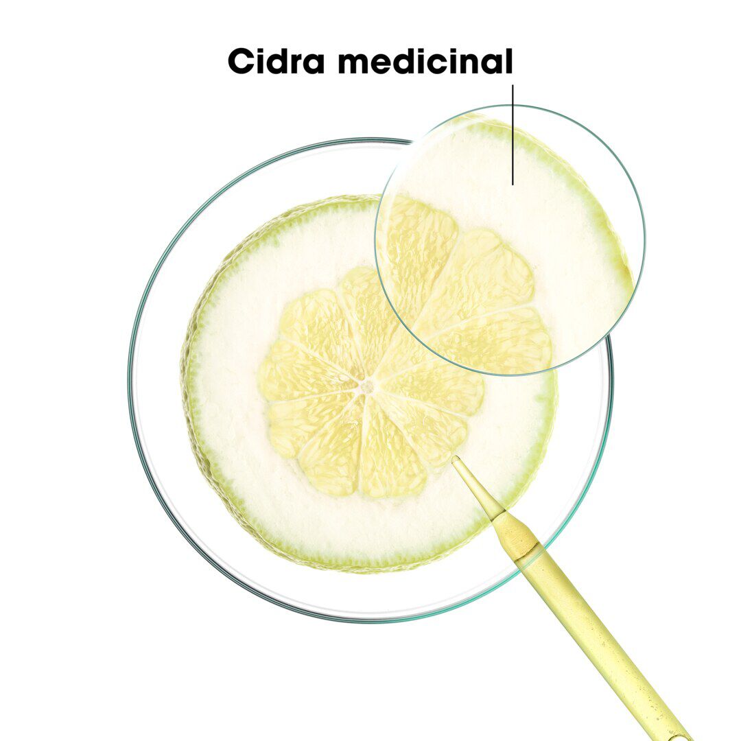 Champ&ocirc; Cidra - KLORANE -  - Imagem 3