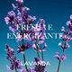 Eau de Parfum - ARAMIS - ARAMIS INTUITION - Imagem 5