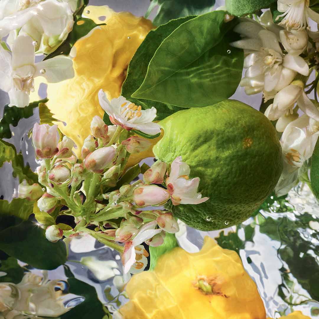 Bergamote Calabria Eau de Toilette - GUERLAIN - AQUA ALLEGORIA - Imagem 6
