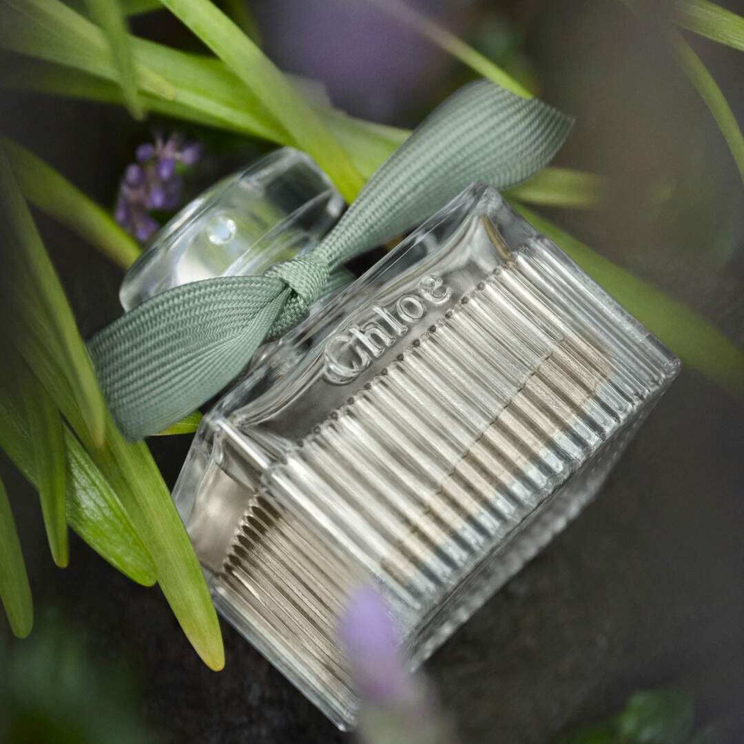 Eau de Parfum Intense Recarga - CHLOÉ - CHLOÉ ROSE NATURELLE - Imagem 8