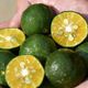 SHIKULIME GEL-TO-OIL CLEANSER - SHISEIDO - Waso - Imagem 7