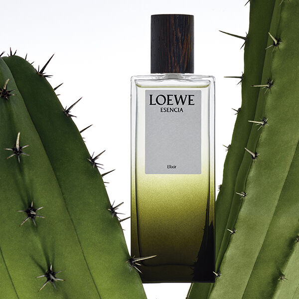 LOEWE ESENCIA - ELIXIR - LOEWE | Perfumes e Companhia