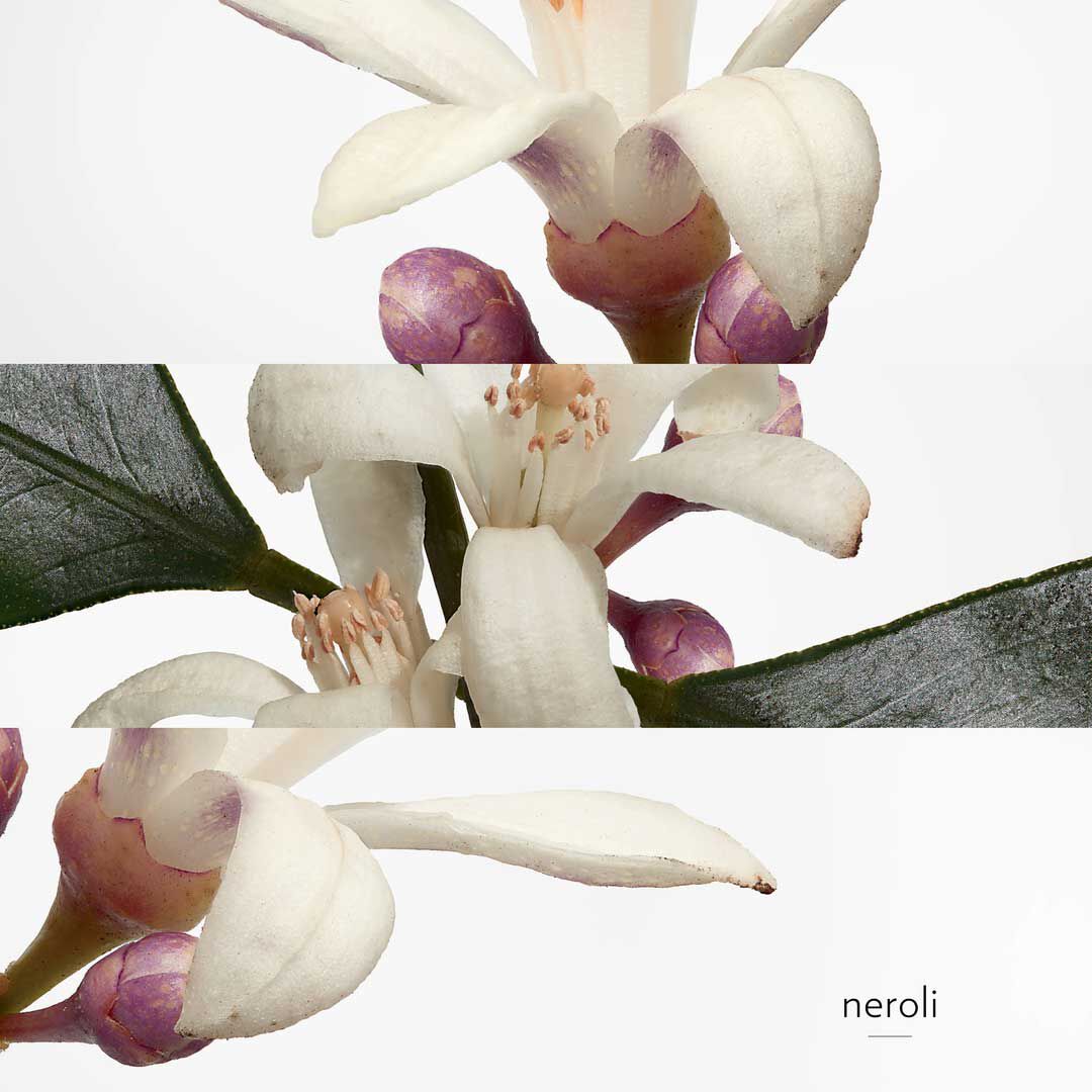 Eau de Néroli Doré - Hermès - COLEÇÃO COLOGNES - Imagem 3