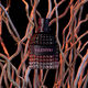 Eau de Parfum Intense - Valentino - BORN IN ROMA UOMO - Imagem 5