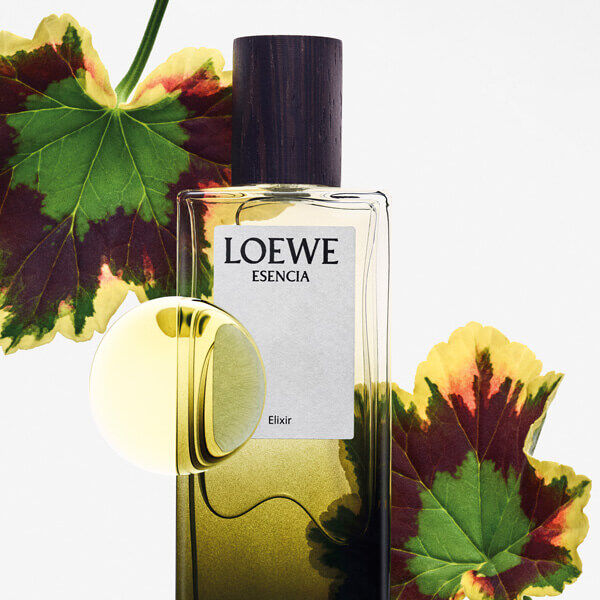 LOEWE ESENCIA - ELIXIR - LOEWE | Perfumes e Companhia