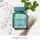 Vetiver Musc Eau de Toilette - NARCISO RODRIGUEZ - FOR HIM - Imagem 5