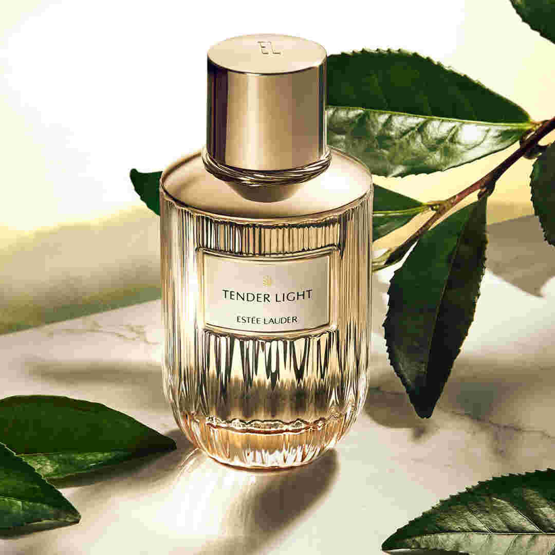 ESTEE LAUDER TENDER LIGHT 香水 100ml Tender Light Estée Lauder perfume - a fragrância Compartilhável 2021