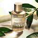 Tender Light Eau de Parfum - Estée Lauder - Luxury Collection - Imagem 2