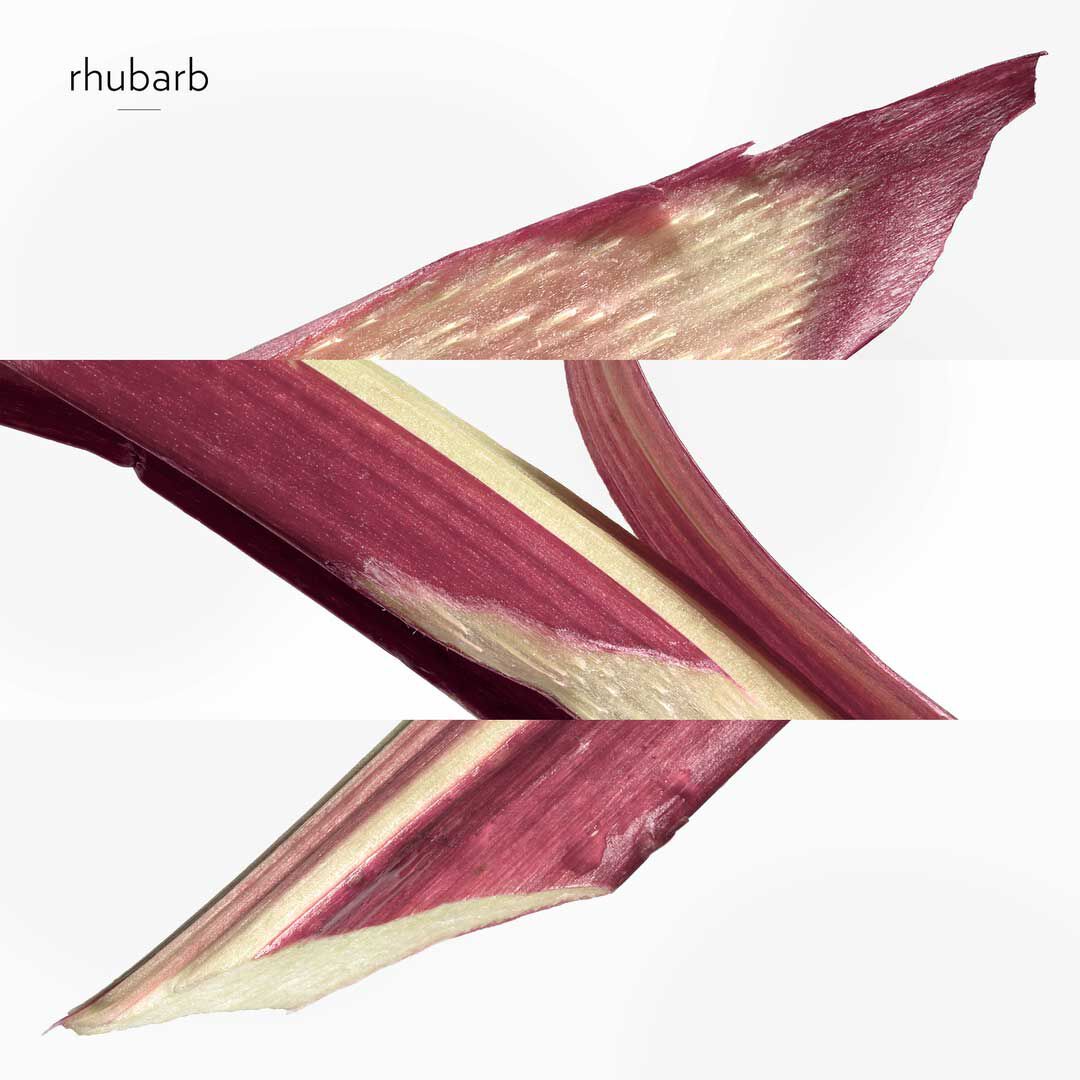 Eau de Rhubarbe Écalarte - Hermès - COLEÇÃO COLOGNES - Imagem 2