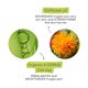 Biology Nutri Creme Nutritivo - A-DERMA -  - Imagem 2