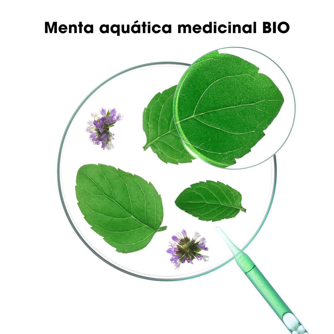 Champô Menta - KLORANE -  - Imagem 4