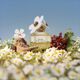 Eau de Toilette - MARC JACOBS - MARC JACOBS DAISY - Imagem 3