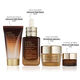 Nightly Renewal Skincare Set - Estée Lauder - Advanced Night Repair - Imagem 2