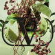 Uomo Green Stravaganza Eau de Toilette - Valentino - BORN IN ROMA UOMO - Imagem 13