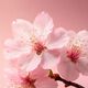 Shimmering Body Spray - Rituals - Sakura - Imagem 3