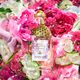 Rosa Verde - Eau de Toilette - GUERLAIN - AQUA ALLEGORIA - Imagem 5
