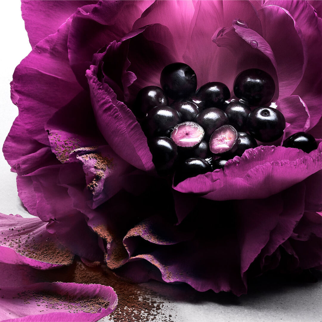 Le Parfum - Lancôme - TRESOR NUIT - Imagem 2