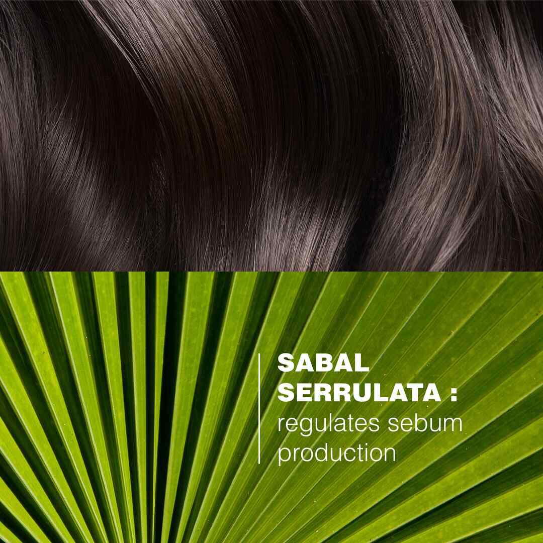 Sabal Argeal Champ&ocirc; Sebo Redutor - DUCRAY -  - Imagem 7