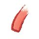 Sculpting Blush - Estée Lauder - Pure Color Envy - Imagem 3