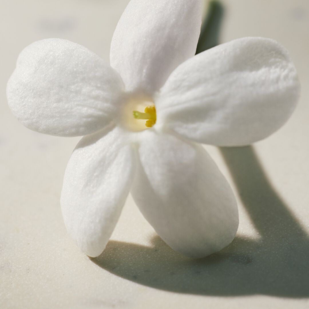Eau de Parfum - CHLOÉ - Chloé Signature Lumineuse - Imagem 7