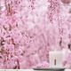 Scented Candle - Rituals - Sakura - Imagem 2
