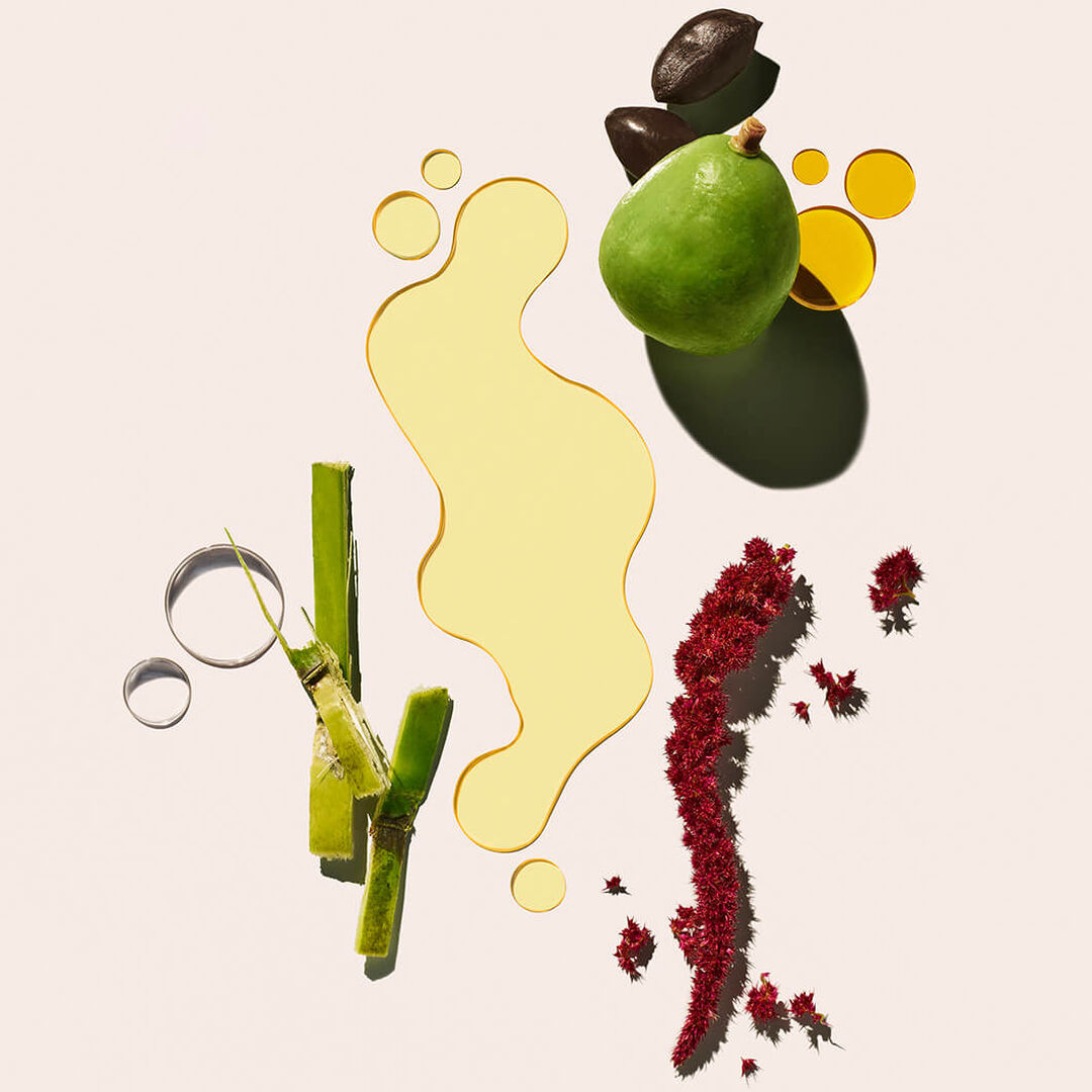 Elasti-Body Oil - &Oacute;leo Para o corpo - Sol de Janeiro - Beja Flor - Imagem 6