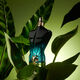 Le Parfum - Jean Paul Gaultier - Le Beau - Imagem 6