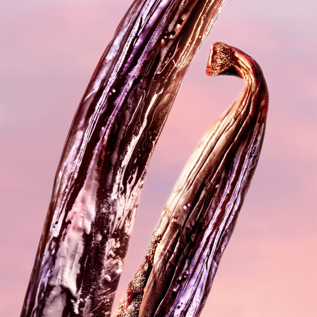 Vanille Nude - Eau de Parfum - Lancôme - La Vie est Belle - Imagem 8