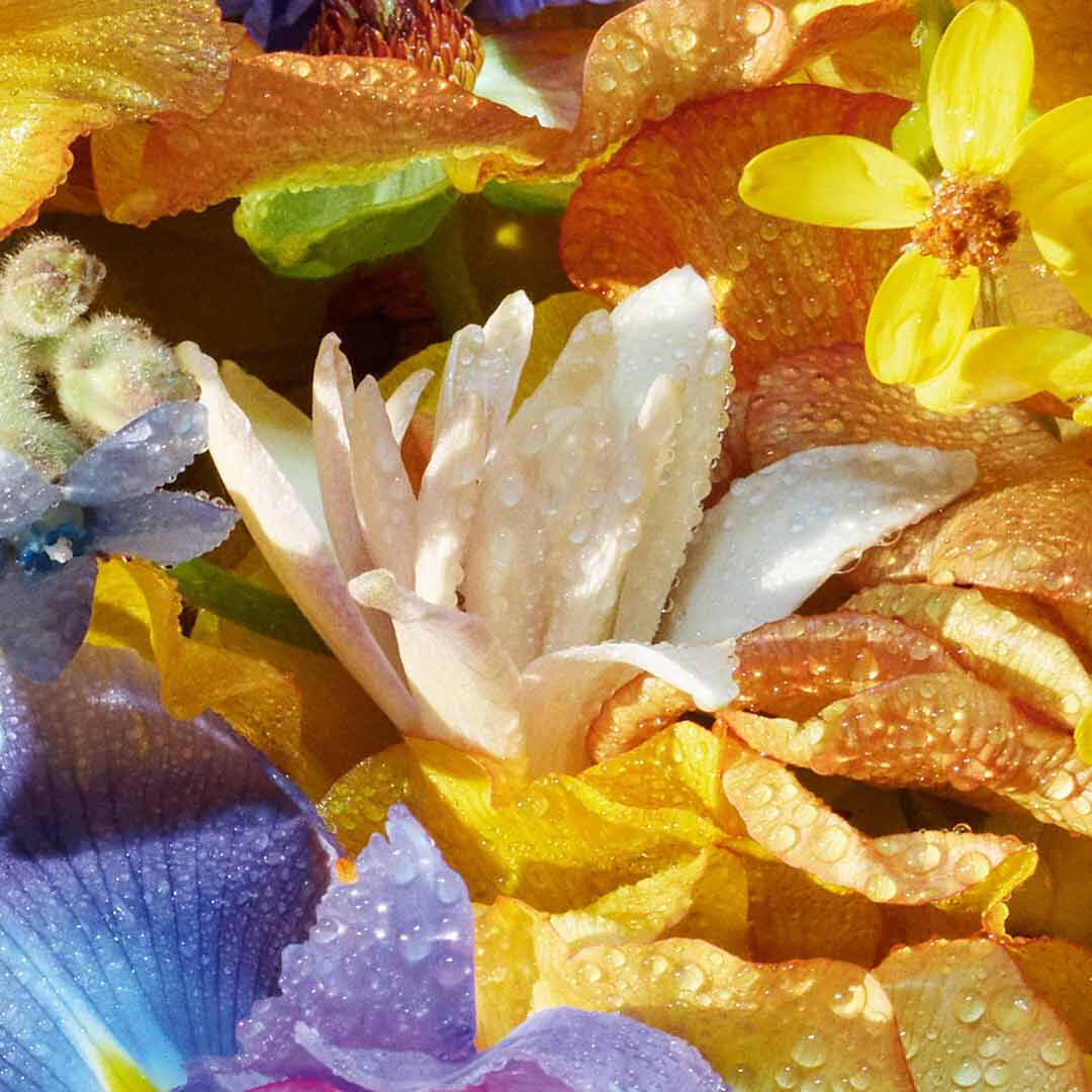 Florabloom Eau de Toilette - Recarga - GUERLAIN - AQUA ALLEGORIA - Imagem 3