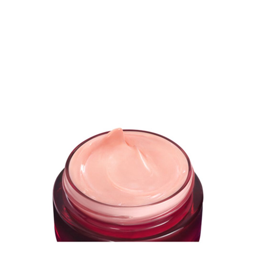 Red Algae Creme Pele Seca - BIOTHERM - BIOTHERM TRATAMENTO - Imagem 2