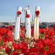 Eau de Parfum La Récolte Parisienne - KENZO - FLOWER BY KENZO - Imagem 3