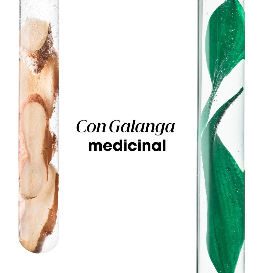 Galanga Champ&ocirc; Anticaspa Reequilibrante - KLORANE -  - Imagem 15