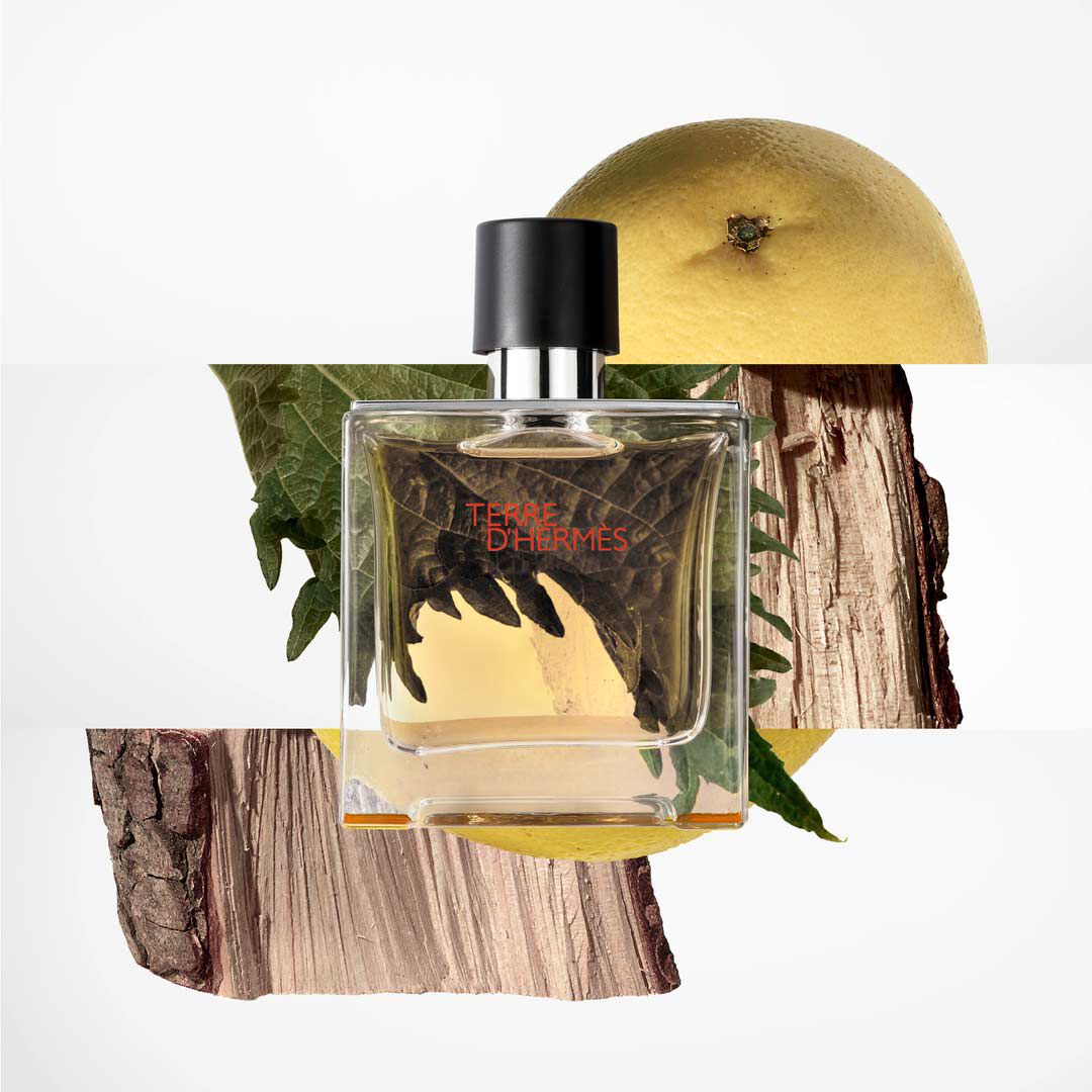 Pure Parfum - Hermès - TERRE D'HERMES - Imagem 2