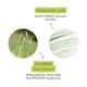 Creme Hidratante Universal - A-DERMA -  - Imagem 5