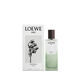 Sutileza Elixir - LOEWE - LOEWE AIRE - Imagem 4
