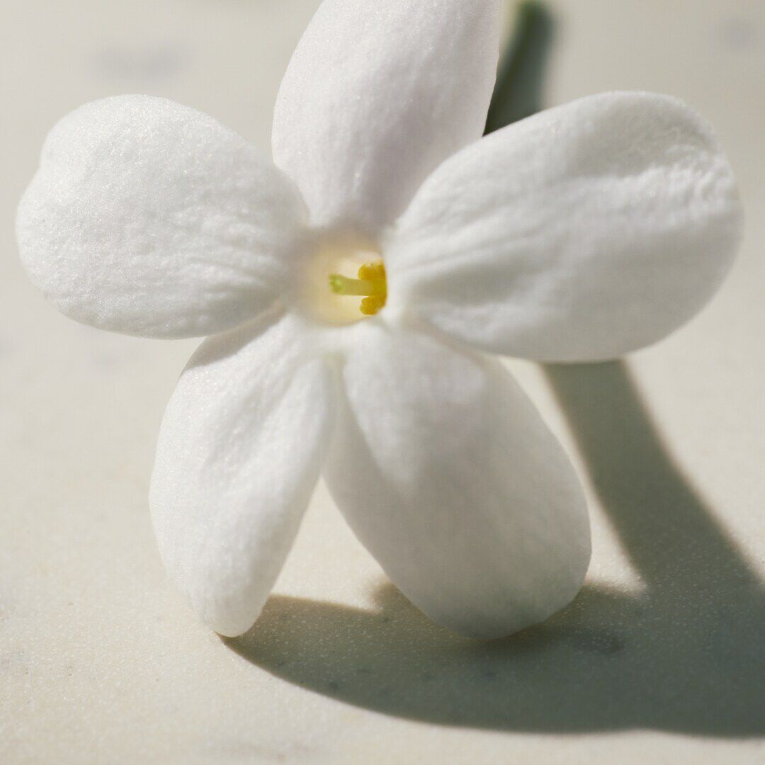 Eau de Parfum - CHLOÉ - Chloé Signature Lumineuse - Imagem 5