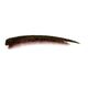Brow This Way Eyebrow Powder Kit - RIMMEL -  - Imagem 5
