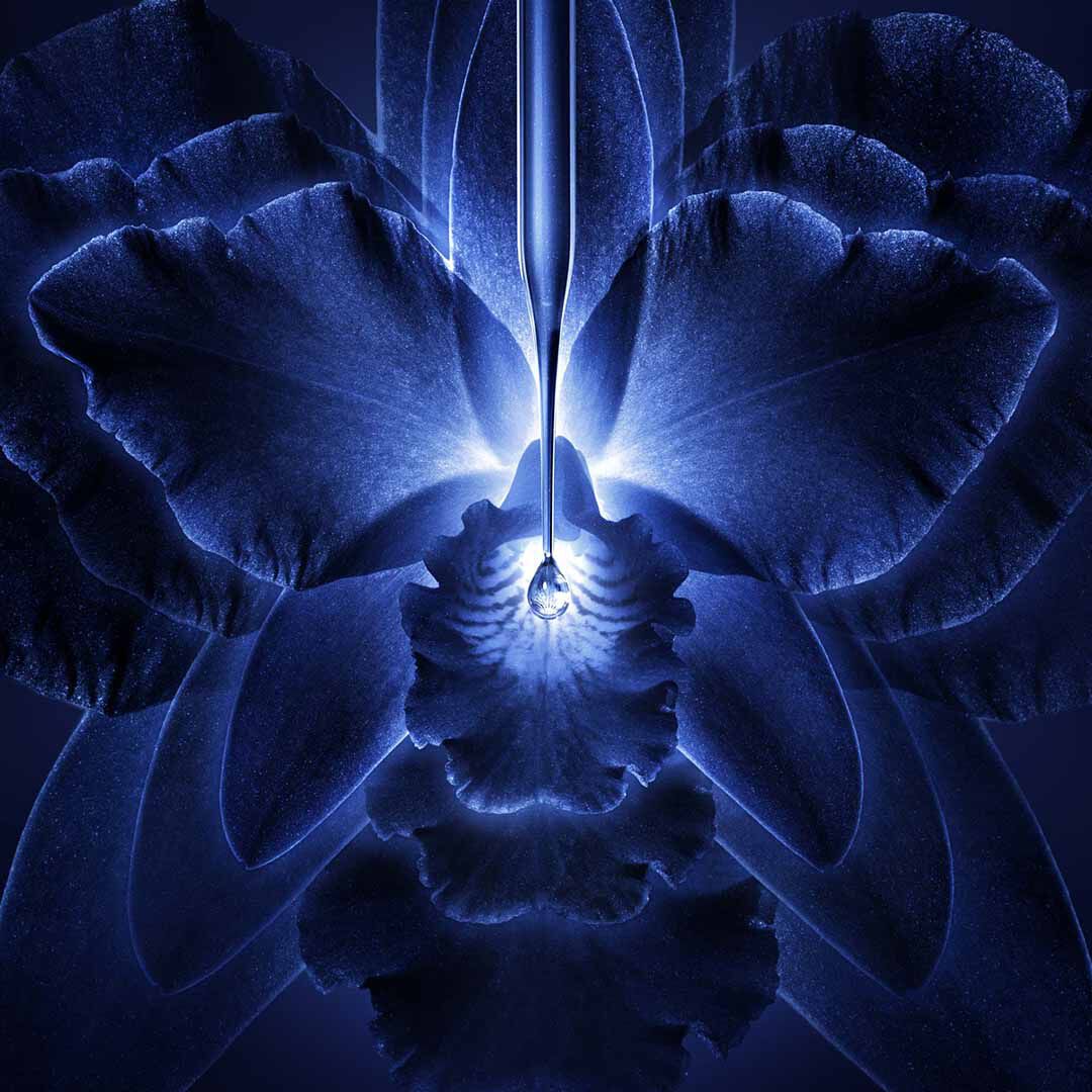 O CREME RICO – RECARGA - GUERLAIN - ORCHIDÉE IMPÉRIALE - Imagem 4