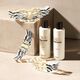 Eau de Parfum - ZADIG & VOLTAIRE - ZADIG - Imagem 9
