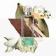 Un Jardin Sur Le Nil Eau de Toilette - Hermès - COLEÇÃO PARFUMS-JARDINS - Imagem 4